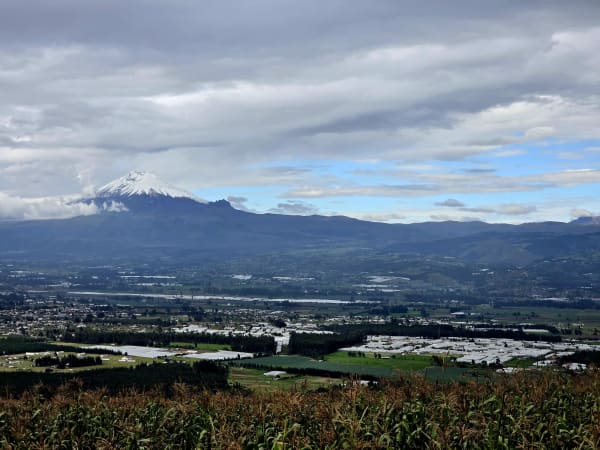 Valley landscape with greenhouses and snow-capped mountains in Cotopaxi Province, Ecuador