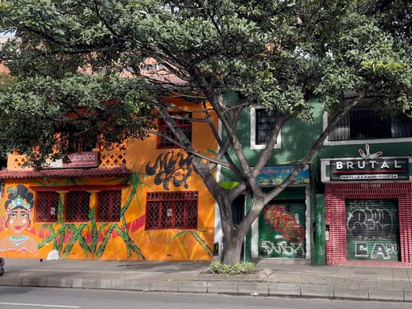 Colorful street with graffiti buildings and a large tree in Bogotá Colombia