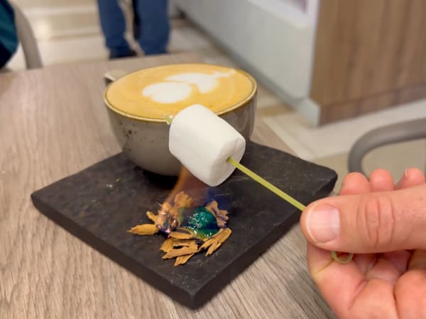 Person toasting a marshmallow on a stick over a small burner or hot surface