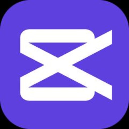 CapCut Commerce Pro