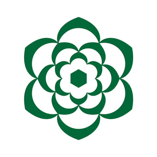Sierra AI