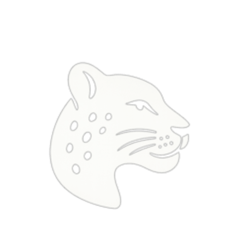 LingoLeopard