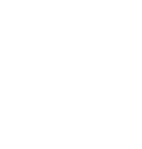 Echo AI