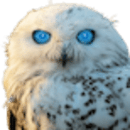 OwlAI AI Assistant