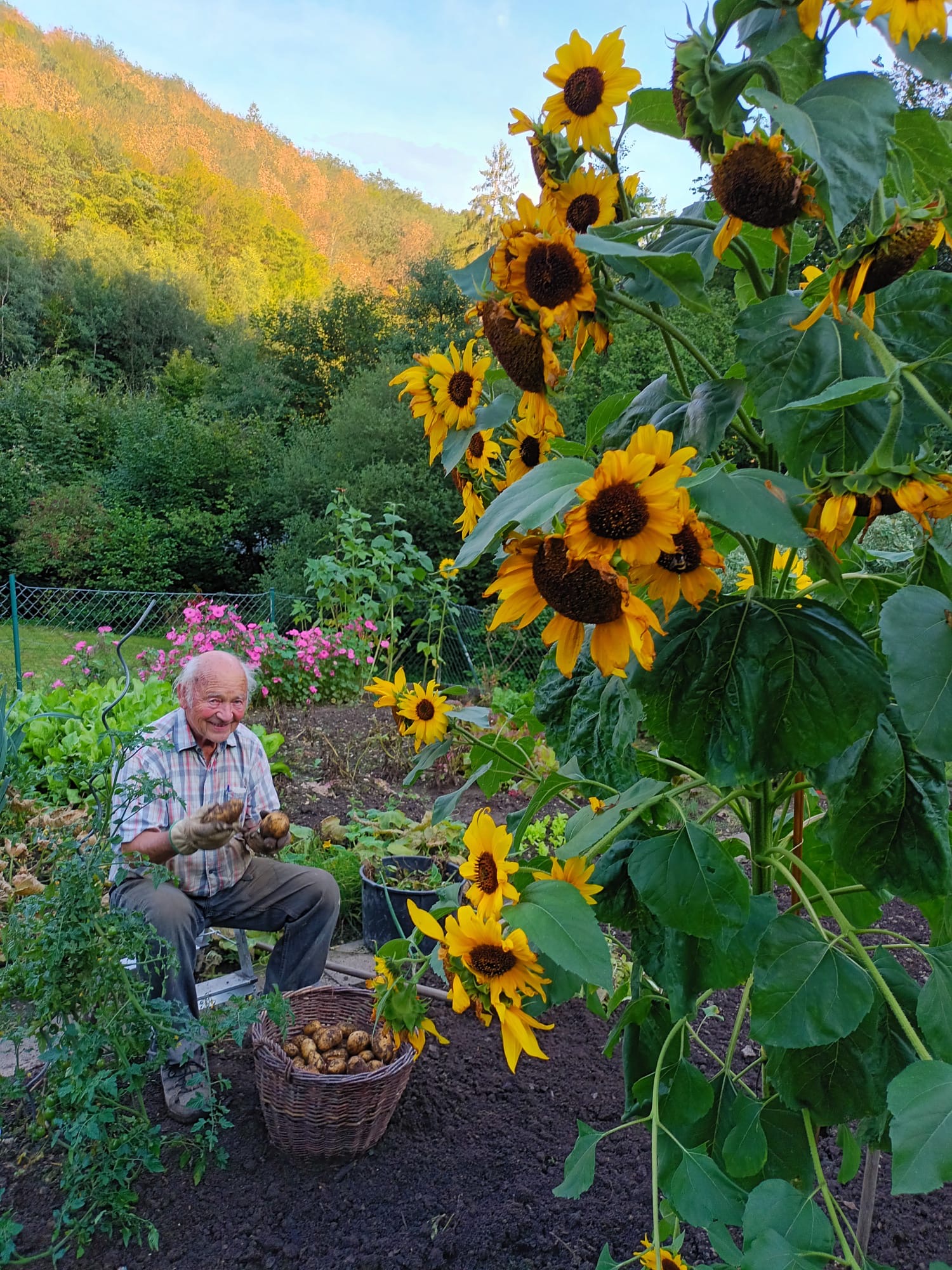 Opa in garden