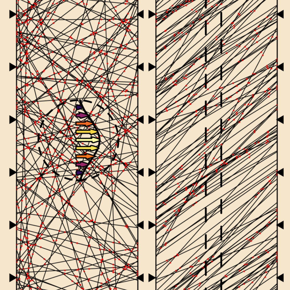Computational biomechanics
