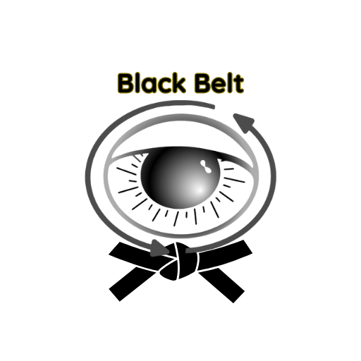 Black Belt Image