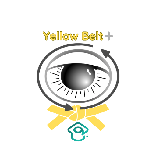 Yellow Belt+ Image