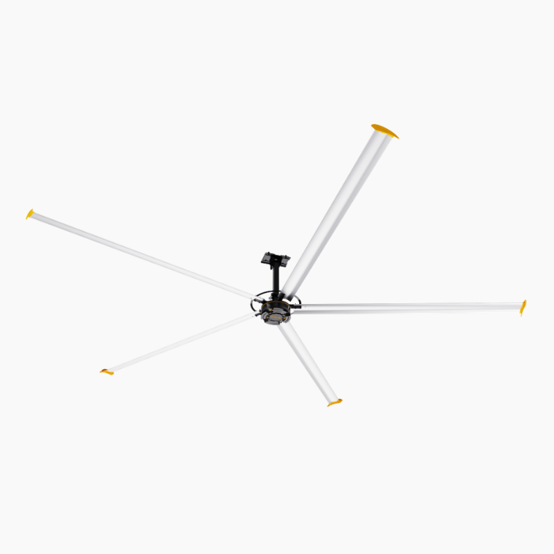 Large Ceiling Fan