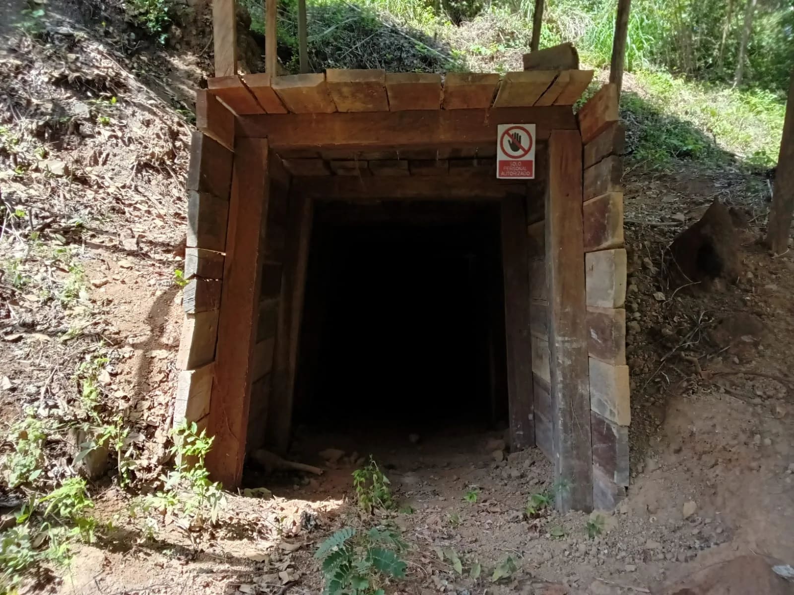Trae tu proyecto minero
