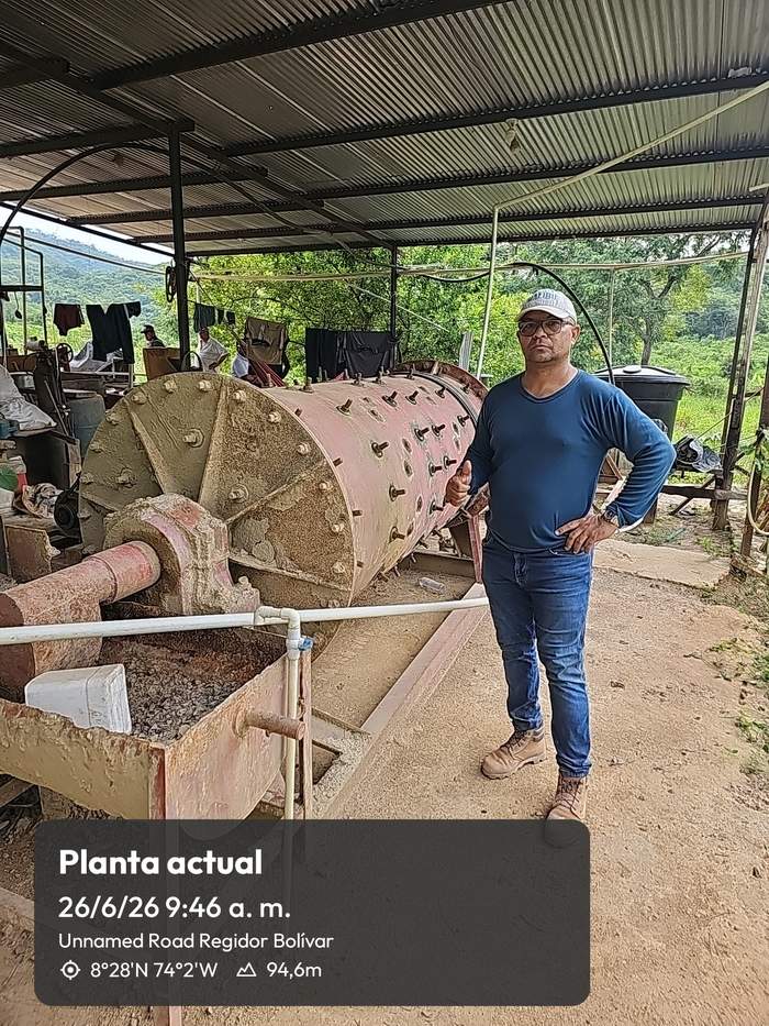 Molino de bolas de la planta