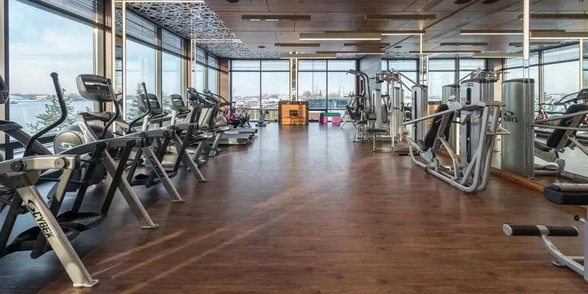 Elliptical Buying Guide