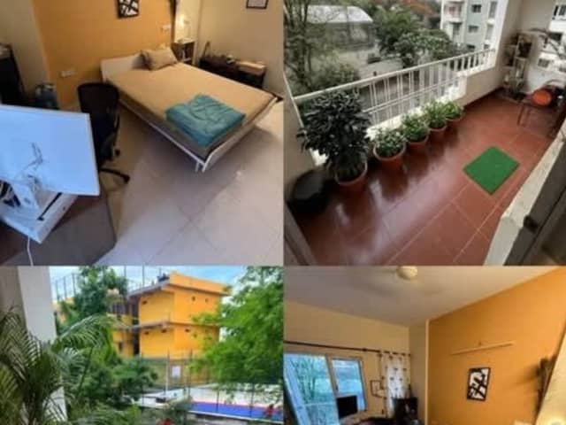 Single room for male in 3BHK Springfield Apartments — property photo 1 of 4