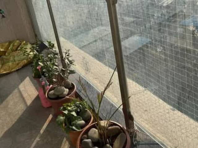 Female Flatmate Wanted in 2BHK at Forest Edge Apartment, Kharadi — living area and home amenities