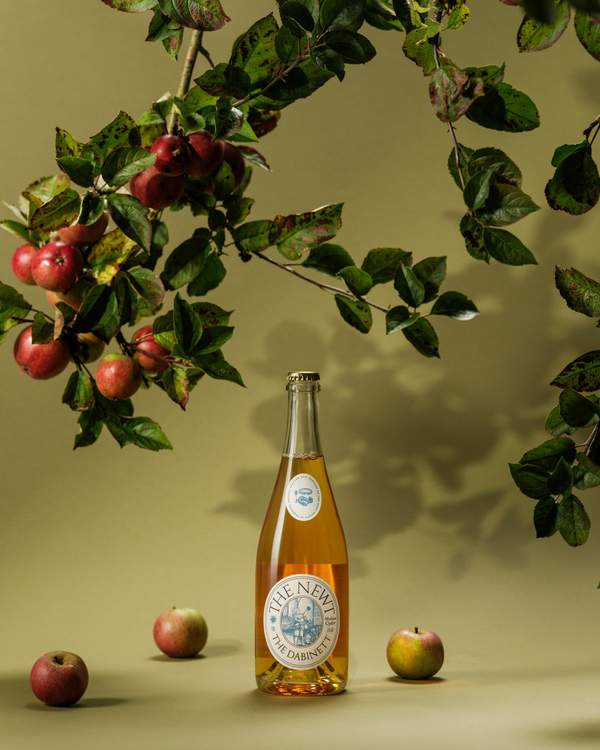 The Newt in Somerset Dinner