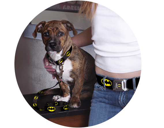 Buckle-Down Batman Shield Yellow Pet Collar - Small