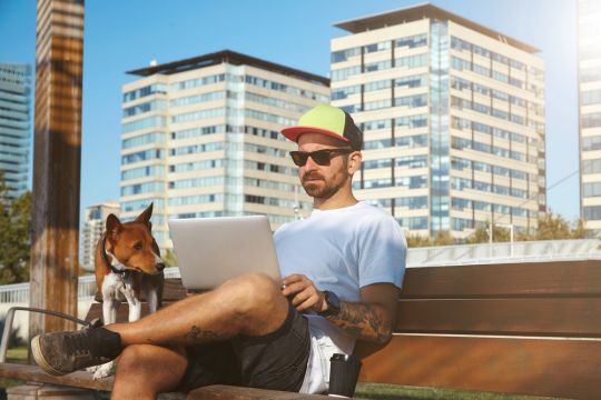 freelancer-working-laptop-dog-sunglasses.jpg