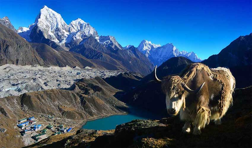 Gokyo Lake Trek
