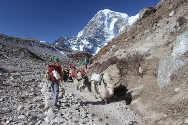 Complete Guide to Everest Base Camp Trek