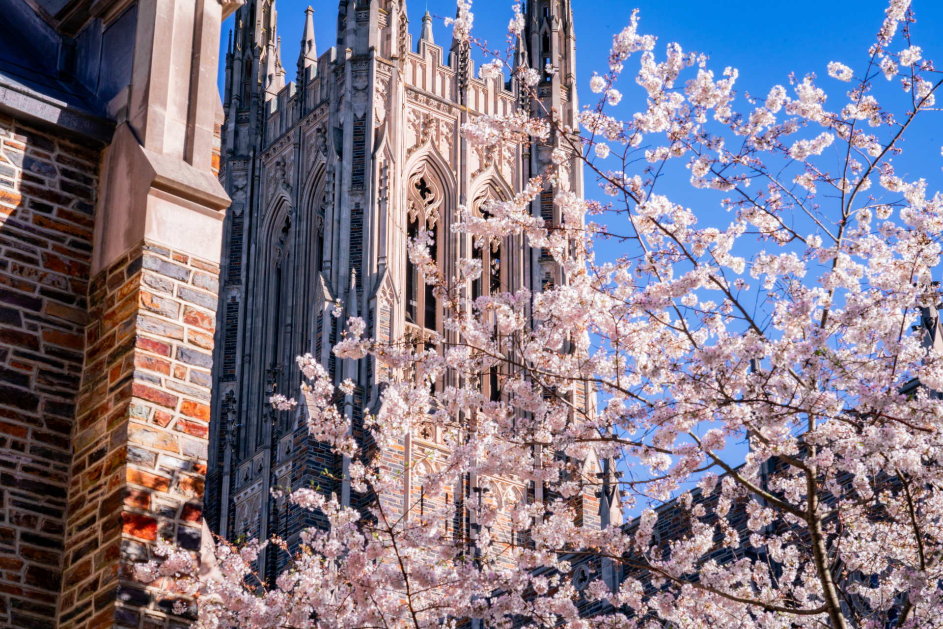 Image from emiliano.gl