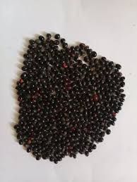 abrus precatorius black seeds