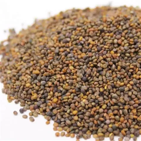 Arugula Seeds (Tukhm-e-Tara Mera)