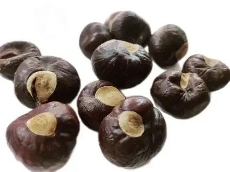 Band Khorr بندکھوڑ