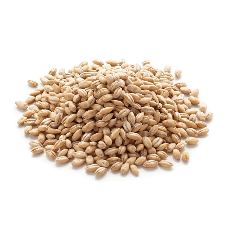 Barley (Joo)
