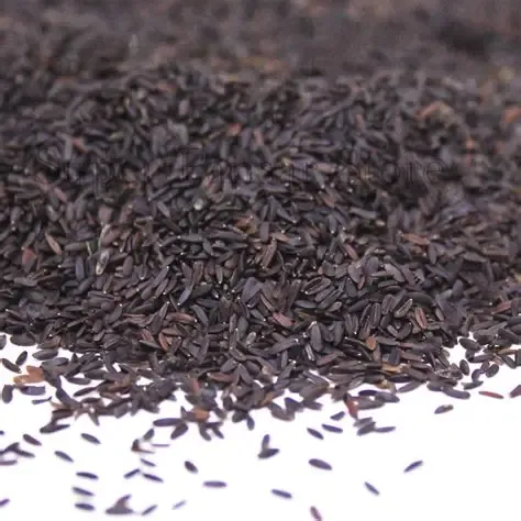 Basil Seeds (Tukham Banalga) تخم بلنگو