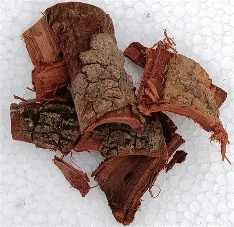 Bauhinia Variegata bark | Kachnar Chhal | Kachnar Bark