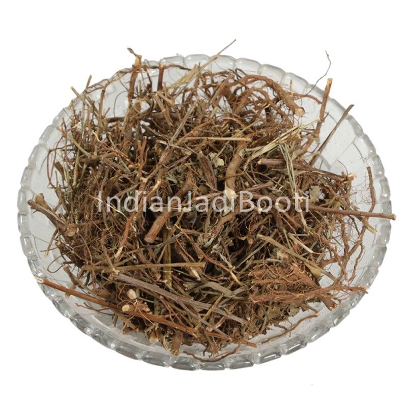 Birch ( Bhoj Patra ) بھوج پٹرا