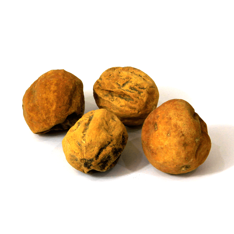 Bitter Apple (Sheem Hanzal) Tuma