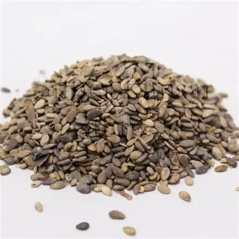 Bitter Apple Seeds (Tukhm-e-Hanzal) Tuma seeds