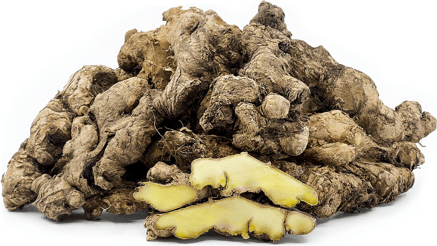 Bitter Ginger (Narakchur)