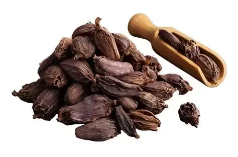Black Cardamom (Bari Elaichi)