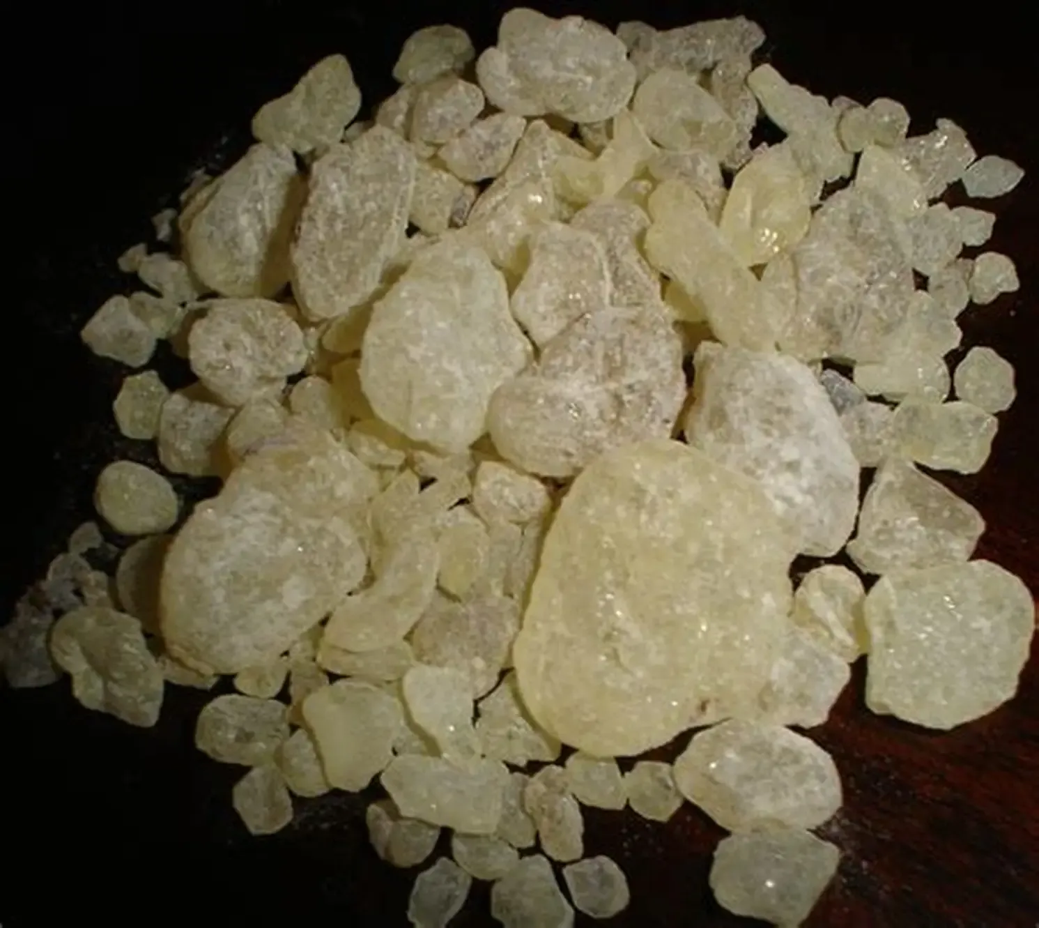 Black Dammar (Chandras)