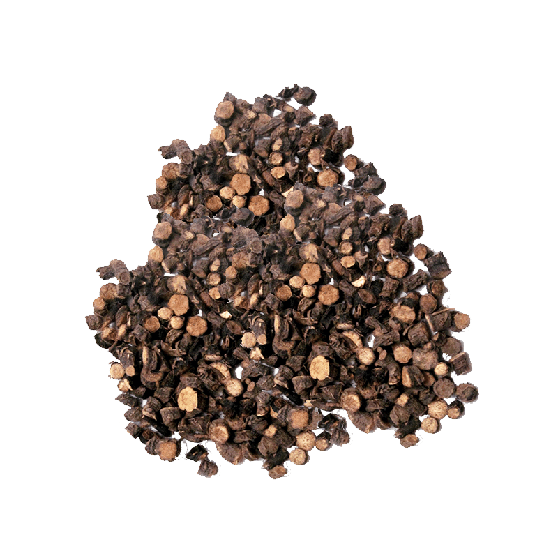 Black Musli (Siyah Musli)