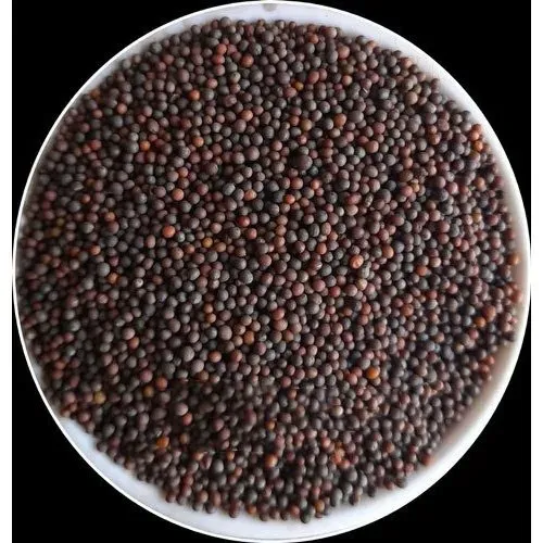 Black Mustard Seeds (Rai)