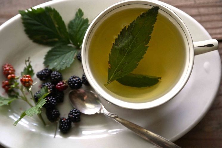 Blackberry Leaves Tea