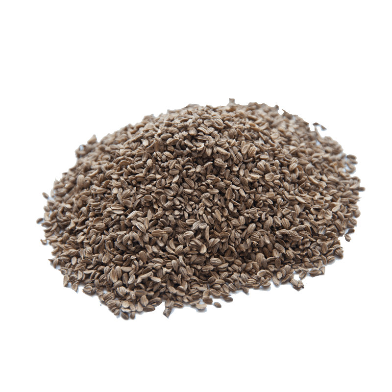 Carrot Seeds (Tukhm-e-Gajar)