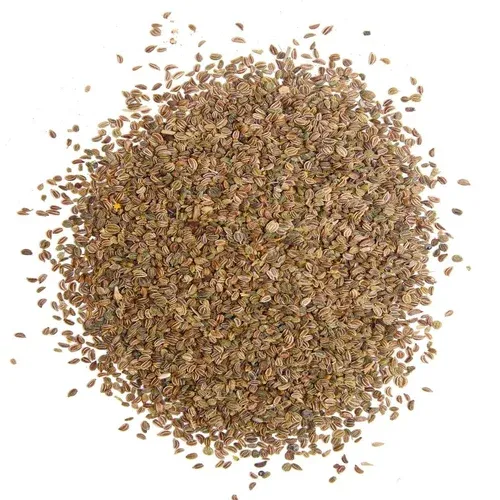 Celery Seeds Ajwain Qarafs Tukhm-e-Qarfas  اجوئن کرفس