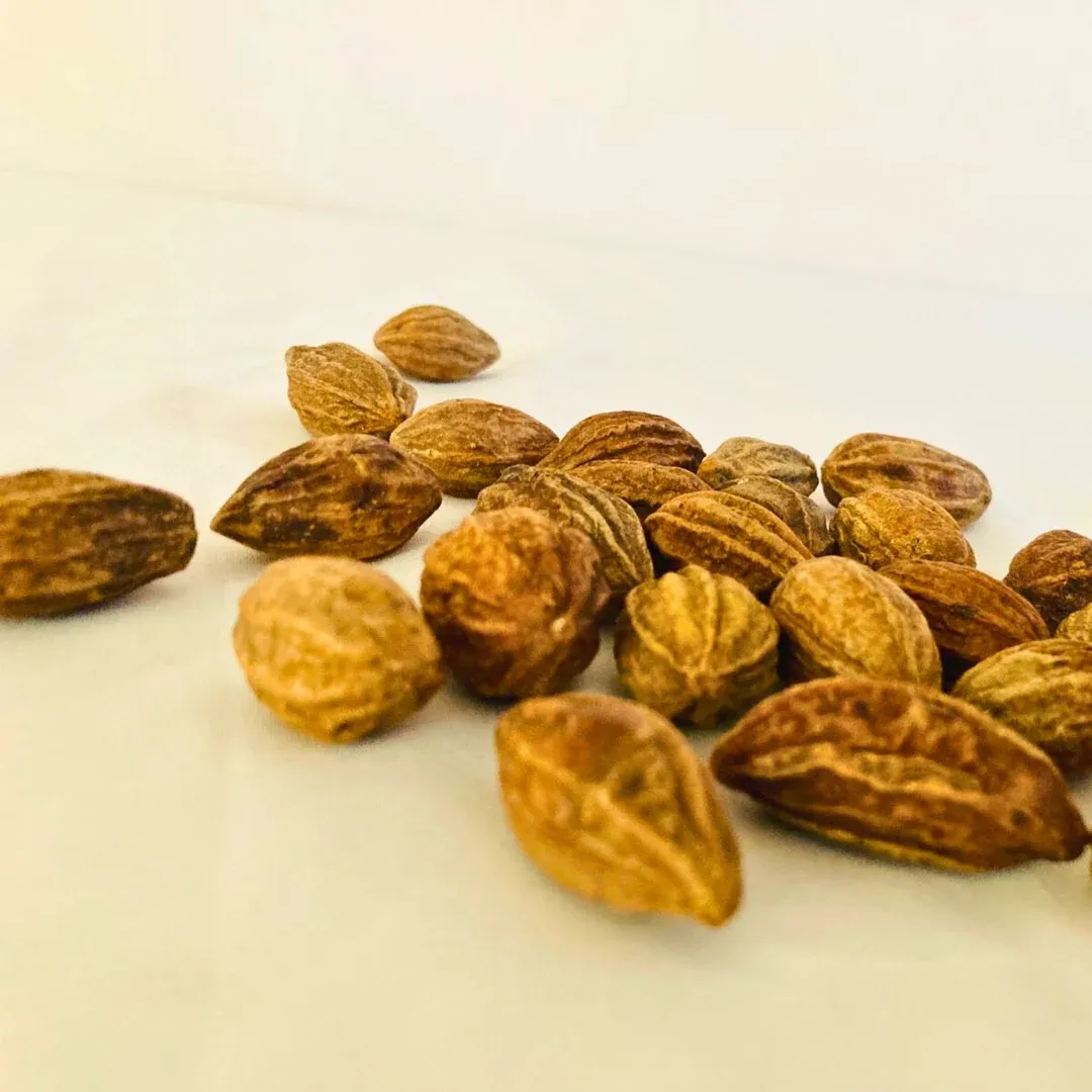 Chebulic Myrobalan (Bari Har)