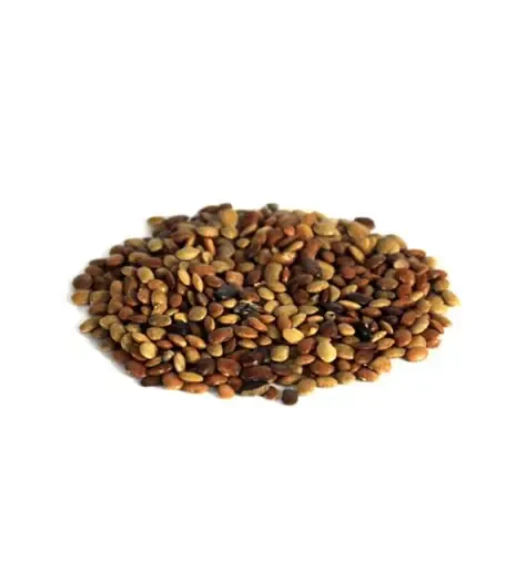 Chinese Chaste Tree Seeds (Tukhm-e-Sanbhalu) Sambhalo Seeds