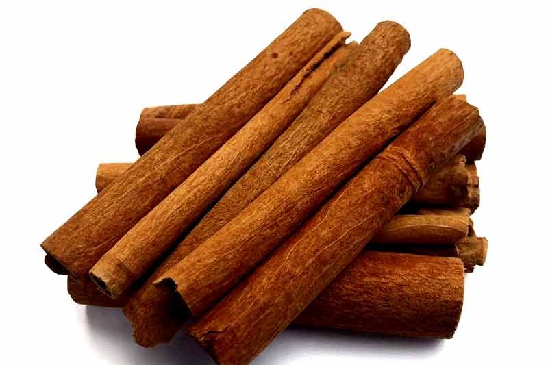 Chinese Cinnamon Herb – Taj Qalmi Herb – تج قلمی