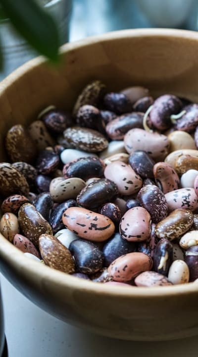 Preventing algae growth in aquaponic bean systems.