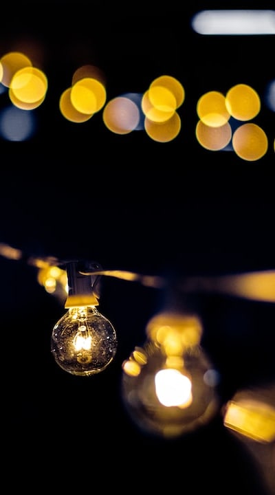 Drying and storage tips for Allium bulbs