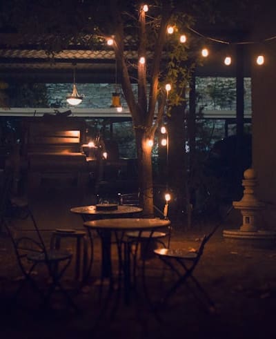 Harvesting and storing allium bulbs for long-lasting beauty.