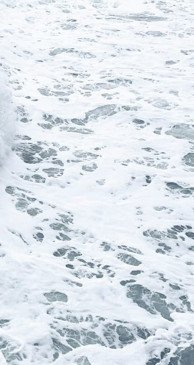 Proper maintenance and care for annual flowers.