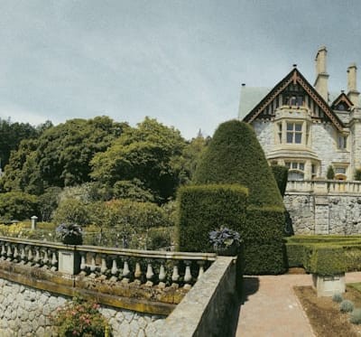 Choosing the right variety for growing bush beans