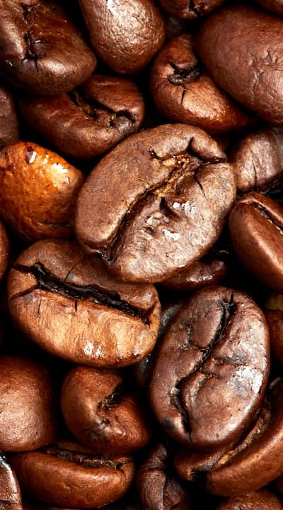 Planting organic bean seeds for a bountiful harvest.